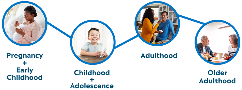 Life Stages Life Stages