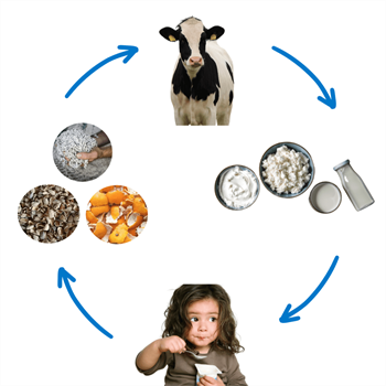 Environment cycle Environment cycle