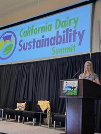 CDSS_Ashley CDSS_Ashley